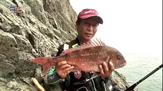 KCTV 스페셜 피싱(Special Fishing) - 때로는 아찔한 손맛!!! 추자도의 여름을 즐겨라