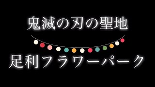 鬼滅の刃の聖地(^o^)あしかがフラワーパーク(^o^)