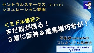 【セントウルS 2018】シミュレーション動画＜ミドル想定＞