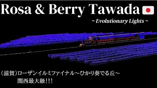 Rosa \u0026 Berry Tawada: Evolutionary Lights✨🐑 | Eng \u0026 Jpn Subs | Shel's Vlog