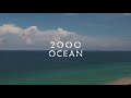 rita chraibi’s vision for 2000 ocean