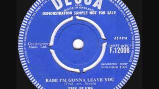 The Plebs - Babe I'm Gonna Leave You - 1964 45rpm