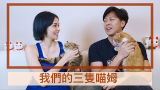 我們的三隻喵姆 老魚是偏心鬼|| 袁艾菲 \u0026 老魚    Our Meowmily Members ||  Fei \u0026 Yu