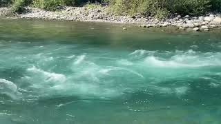 Vedder river limit hole July 12 2024 red chinook