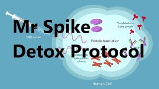 Mr Spike Detox Protocol