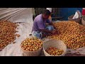 পিরোজপুরের সুপারি বাজার। betel nut market in pirojpur.