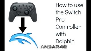 How to use a Switch Pro Controller with Dolphin on Mac or PC