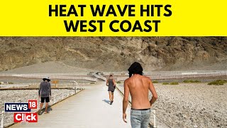 U.S. Heatwave 2023  Updates | Americans Seek Relief As Extreme Heat Blankets The U.S. | News18