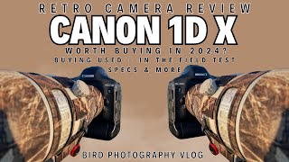 Canon 1D X - Retro Camera Review in the Field | Worth Buying in 2024 for Wildlife Photography