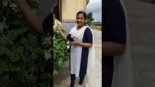 অবসর মুহূর্তে প্রাকৃতিক সৌন্দর্য দর্শন