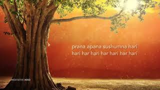 Thiền MANTRA Chữa Lành - Prana Apana Sushumna Hari