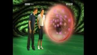 GCSE Science Revision - Respiration