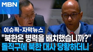 [자막뉴스] ＂북한은 병력을 배치했습니까?＂ 돌직구에 북한 대사 당황하더니 | 이슈픽