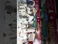 jalsa dastar bandi madarsa darul uloom farooqia basavakalyan