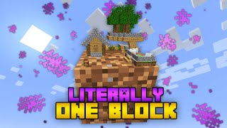 Literally One Block SkyBlock ! || EP 1 || Minecraft SkyBlock, But You LITERALLY Only Have One Block!