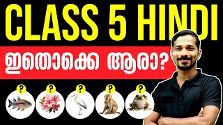 CLASS 5 HINDI | ഇവരെയൊക്കെ ഹിന്ദിയിൽ പഠിച്ചാലോ ? | EXAM WINNER