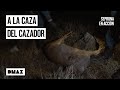 Combatiendo la caza furtiva: así actua el Seprona | Seprona en acción