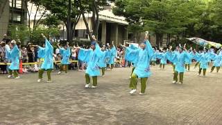 2014 原宿表参道元気祭スーパーよさこい３４ 真岡☆花舞嬉