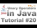 Unary Arithmetic Operators in Java with Examples Tutorial 20