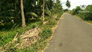 TOTAL PRICE 60-LAKHS COCONUT FRAM LAND SALE PUDUKOTTAI IN KARAMBAKUDI 9/KM AREA 2.75/ACRES