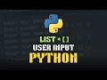 How to Create List in Python With User Input