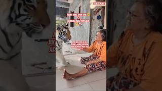 Peliharaan mas iyun 😱#trending#youtubeshorts#viralvideo#shortvideo#funny#shorts #trending#short#fyp