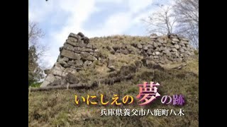 いにしえの夢の跡（兵庫県養父市八鹿町八木）