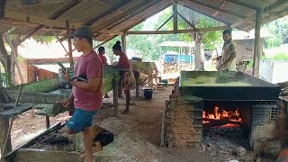 Rotina da roça fazendo farinha de mandioca