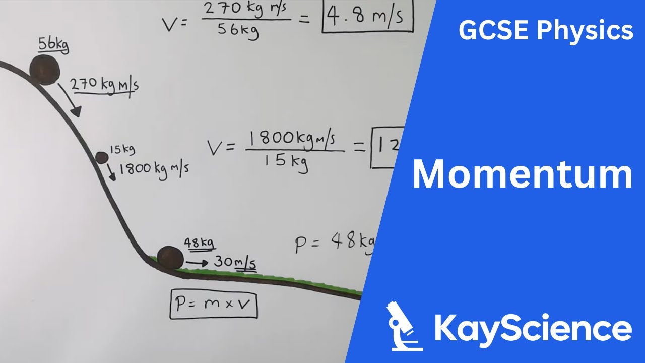 Gcse Physics Calculating Momentum P M V Youtube