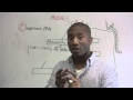 Master Modals with the SEAM method - may, might, could...