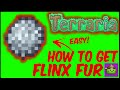 How To Get Flinx Fur In Terraria | Terraria 1.4.4.9