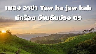 เพลง อาข่า Yaw ha jaw kah (บ้านต้นม่วง 05)