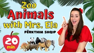 Learn Zoo Animals in Albanian \u0026 English! | Fun Bilingual Song for Kids