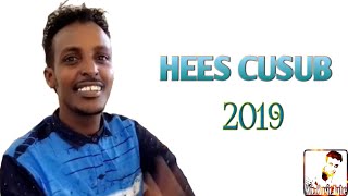 DAA'UUD XANFAR 2019 | HEES CUSUB | AMRAN