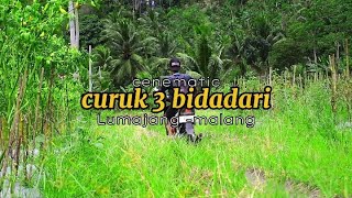 curuk 3 bidadari di lumajang-malang