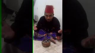 Dukun BERANAK