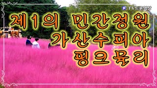 [EP.376] 가산수피아/핑크뮬리/댑싸리/드론영상/인기동영상/Korea 🇰🇷