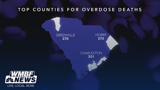 Horry County leads South Carolina in drug overdose deaths, data shows