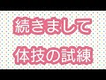 dqmsl 続き、勇者・ローラ姫・ヒャド・体技・クリフト・アリーナ試練攻略（参考用）