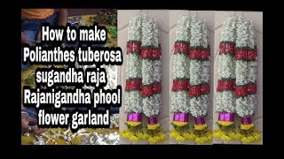 rose | flowers | garlands| tuberosa | how to make polianthes tuberosa rajnigandha flower garland