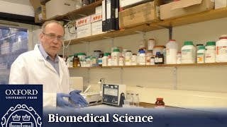 Fundamentals of Biomedical Science: Electron Microscopy