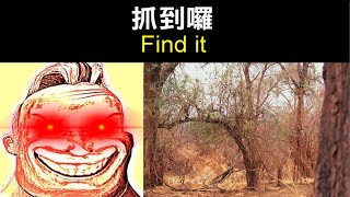 抓到囉（Find it）｜【超能先生迷因】Mr Incredible becoming canny