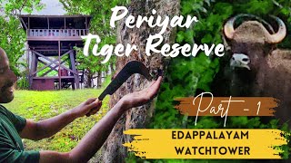 Thekkady Periyar Tiger Reserve | Edapalayam Watch Tower Part 1 കടുവ സങ്കേതത്തിൽ ഒരു രാത്രി #youtube