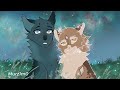 starry reunion complete warrior cats map a light in the mist