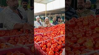 Punganur tomato Market 🍅 1/11/2024 #tomato #punganurtomatomarket #trending