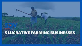 SDV Explainer | 5 farming projects that can fatten your wallet today