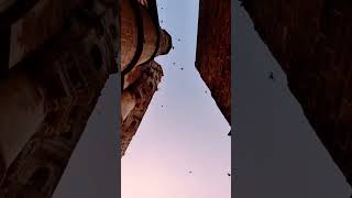 jodhpur Mehrangarh fort