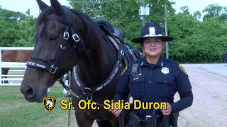 Meet Mounted Patrol | Houston Police