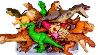 Dinosaurs come to life in movies  Showing my dinosaur toys & what they look like in Jurassic World 2