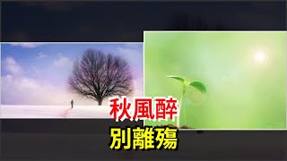 秋風醉，別離殤，[心靈驛站]